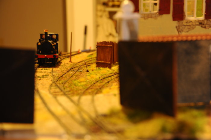 DSC_8087.JPG