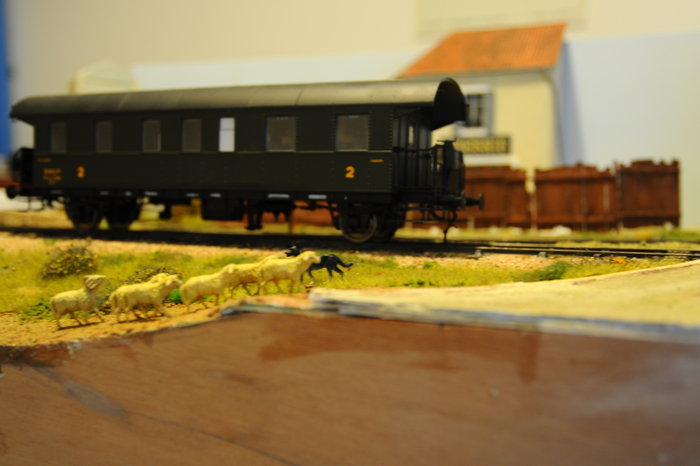 DSC_8098.JPG