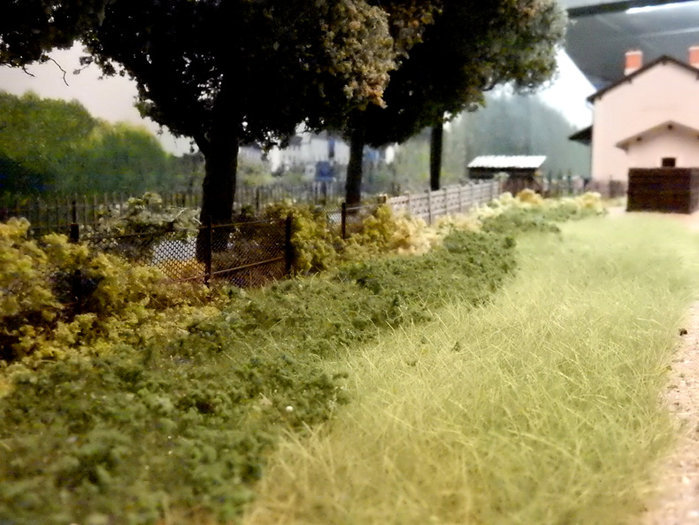 herbe1WFO.jpg