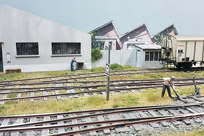 cabane-4.jpg