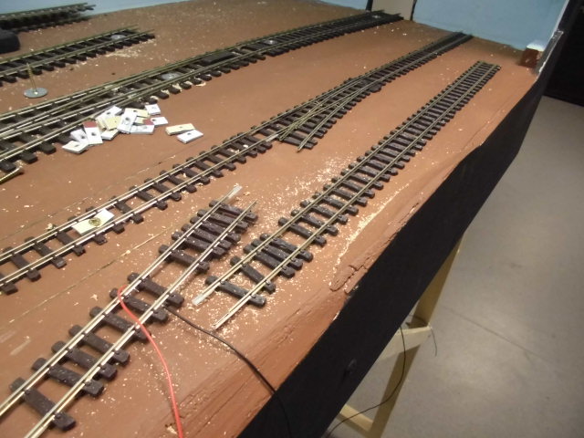 CIMG1319.JPG