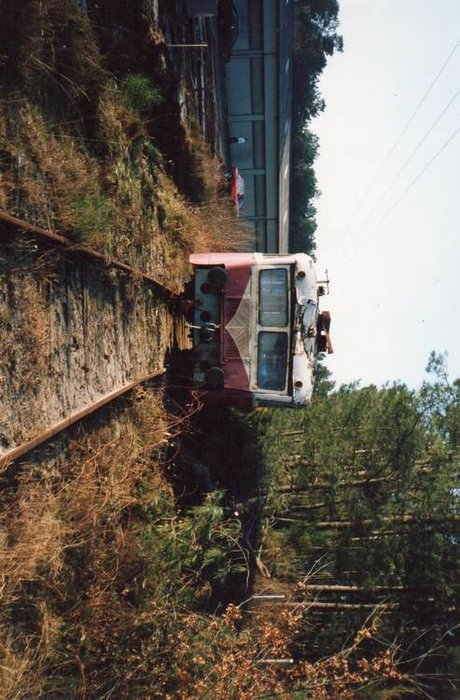 img024.jpg