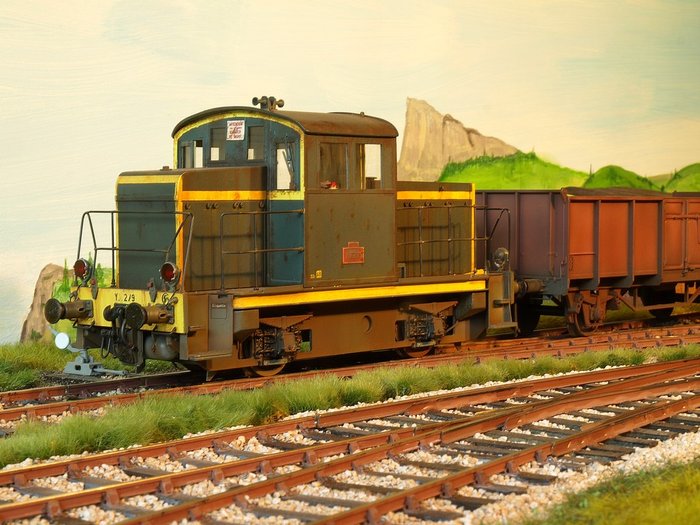 Y6279.jpg
