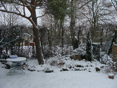 DSC06639.JPG