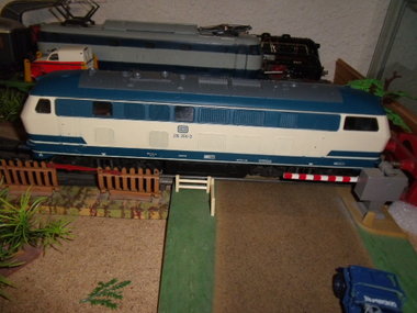 DSCF5246.JPG