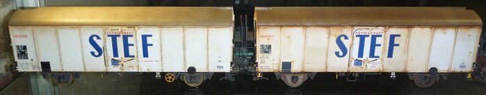 P1110250.JPG