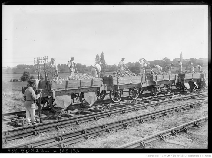Prisonniers_allemands_à_Bordeaux_[employés_[...]Agence_Rol_btv1b530037054.jpeg