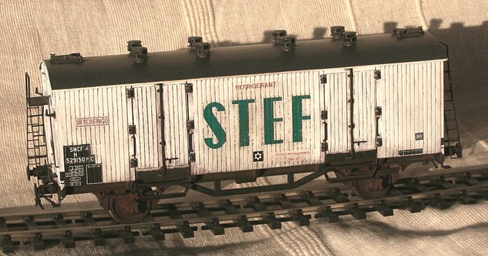 STEF.jpg