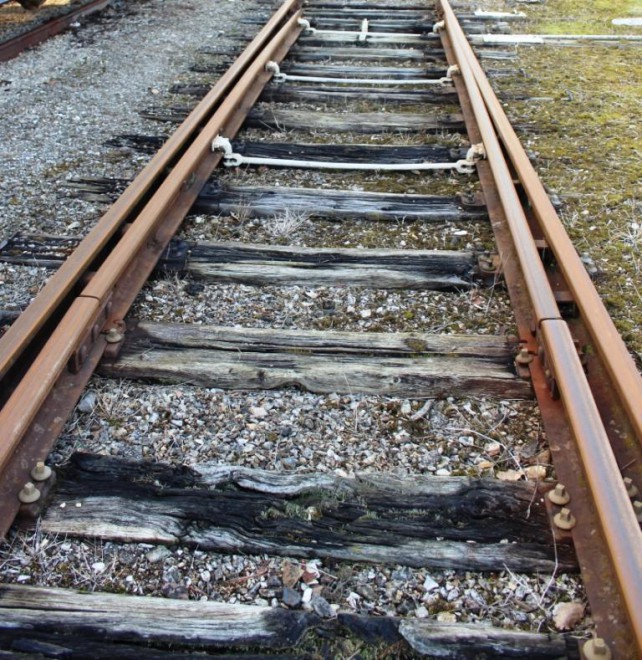 Lame d'aiguille PLM (web).JPG