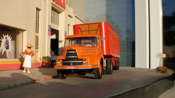 SDC16627.JPG