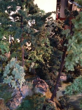 photo foret 034.jpg