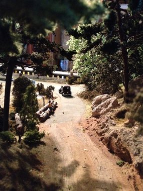 photo foret 039.jpg