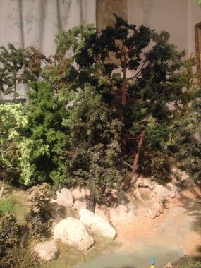 photo foret 046.jpg