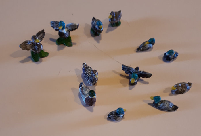 CANARDS Colverts