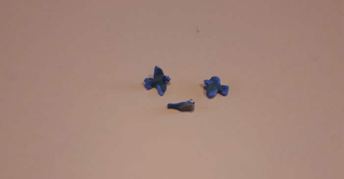 MÉSANGES Bleues