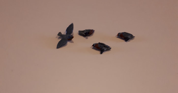 PIGEONS Ramiers