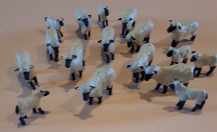 MOUTONS à tête noire