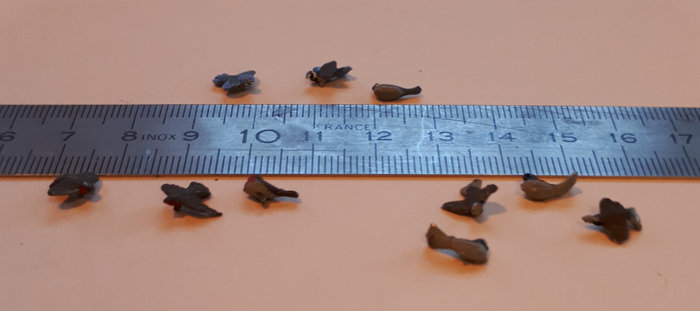 les &quot;petits&quot; OISEAUX