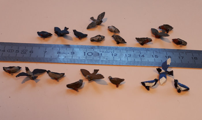 les &quot;plus gros&quot; OISEAUX