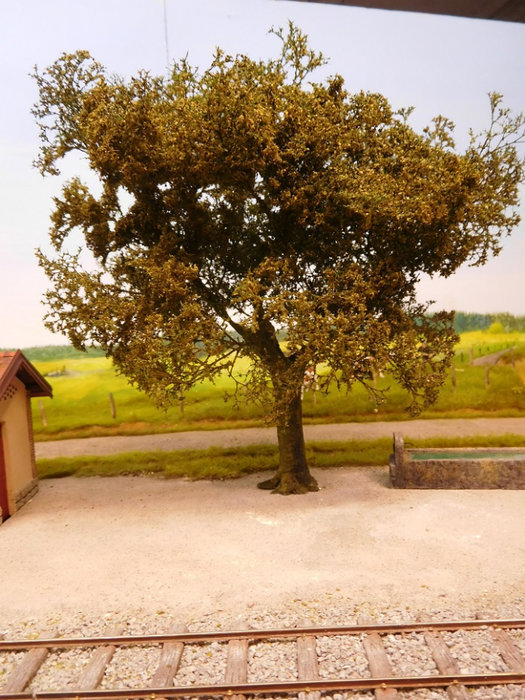 arbre.jpg