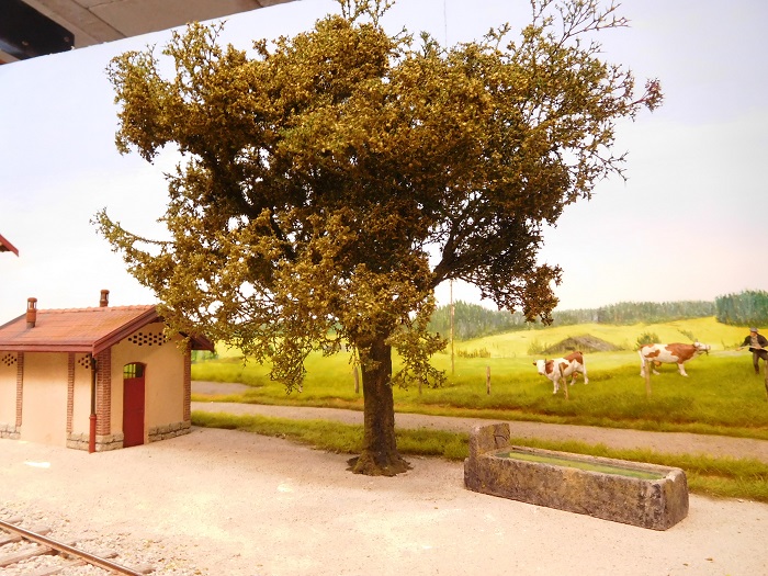arbre 2.jpg