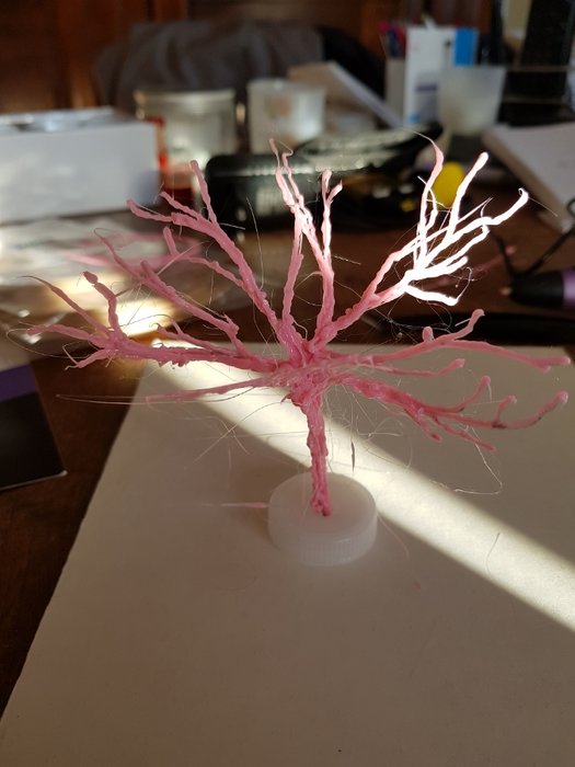 20190227_170452.jpg