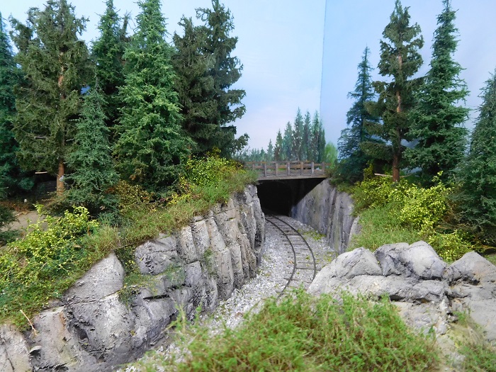 forêt.jpg