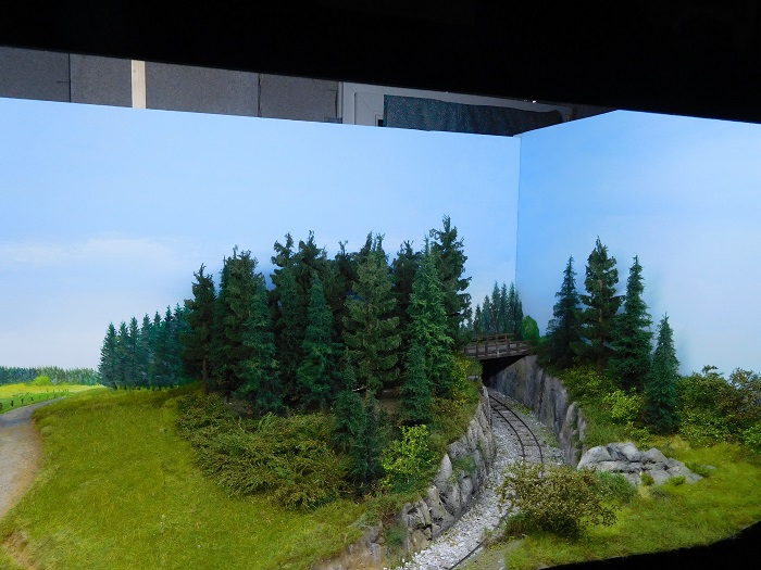 forêt 2.jpg