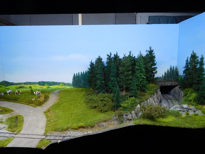 forêt 1.jpg