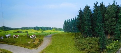 forêt%201.jpg