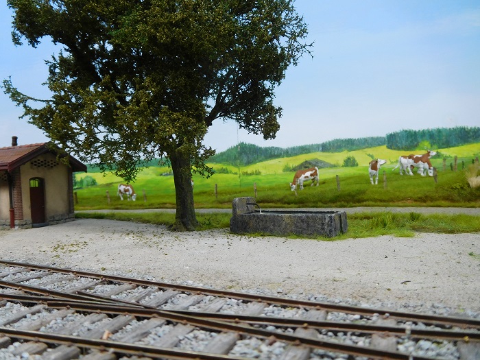 vaches 2.jpg