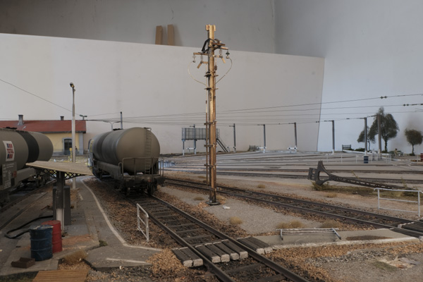 _DSF1110  LR.jpg
