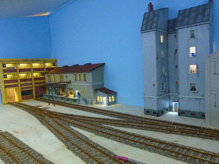 P1140108 (800x600).jpg