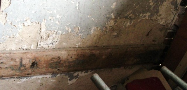 Vestige dossier (web).JPG
