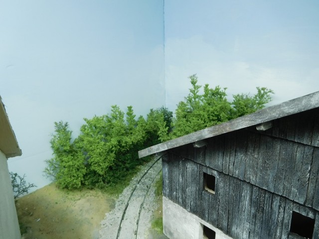VEGETATION.jpg