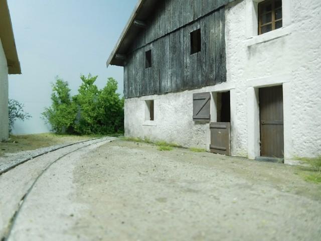 VEGETATION 2 g.jpg