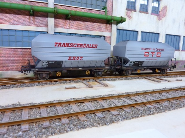 P1140353 (800x600).jpg