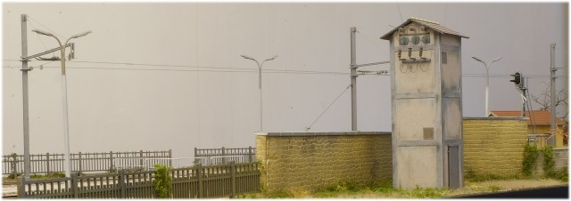 _DSF1464.JPG