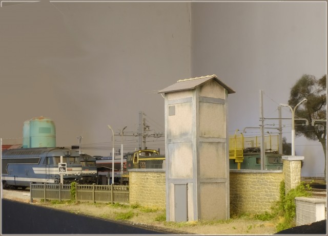 _DSF1465.JPG