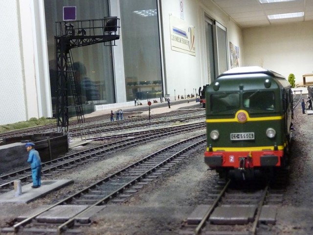 P1120048.jpg