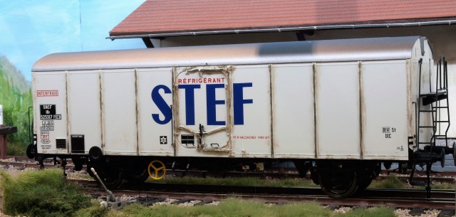 STEF.JPG