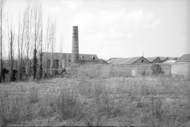 Mie Distillerie.jpg