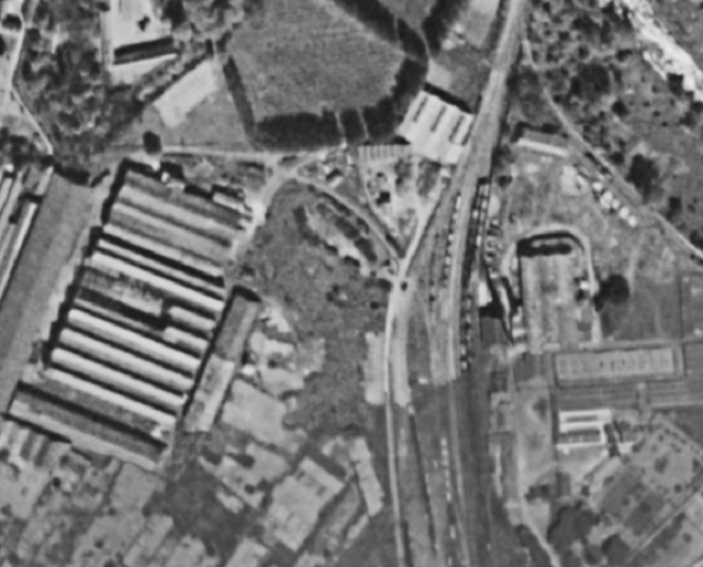 Mie photo avant 1950 (1).png