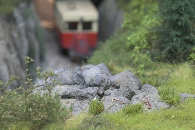 RH5_5516m.JPG
