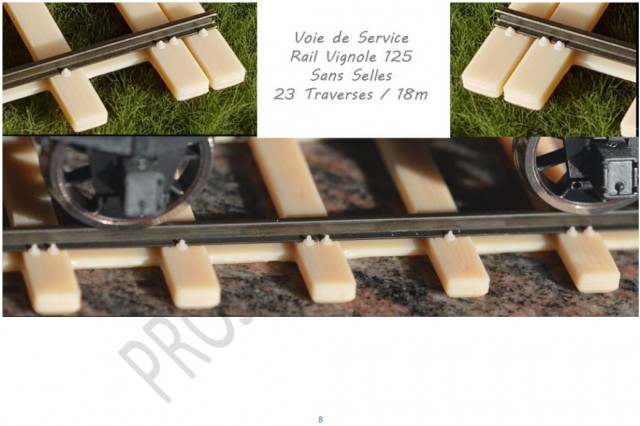 SH_597.jpg