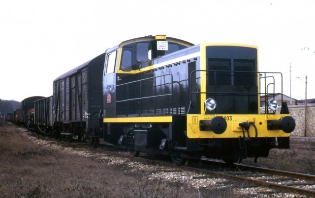 Y 7403 (1).jpg