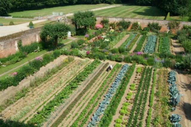 Screenshot_2020-05-21 Le jardin potager du château de Miromesnil.jpg