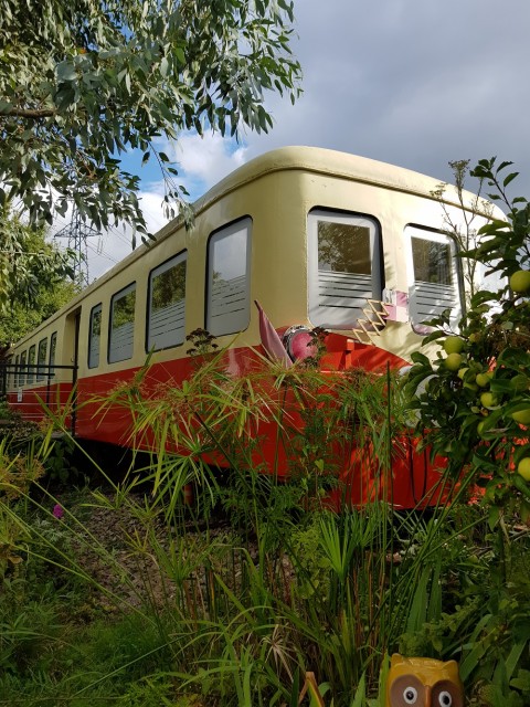 20190828_103434 F.jpg
