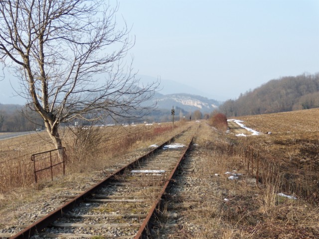 DSCN3248 (2).JPG