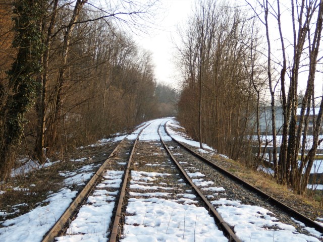 DSCN3267 (2).JPG